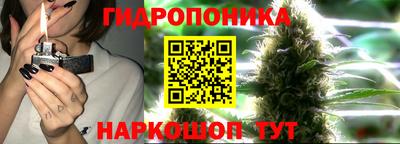 молекула духа Сланцы