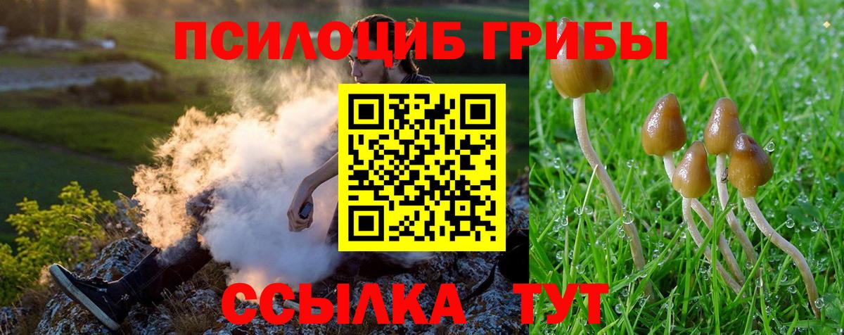 Обь  Галлюциногенные грибы Psilocybine cubensis  Вход с VPN  Псилоцибиновые грибы Psilocybe 
